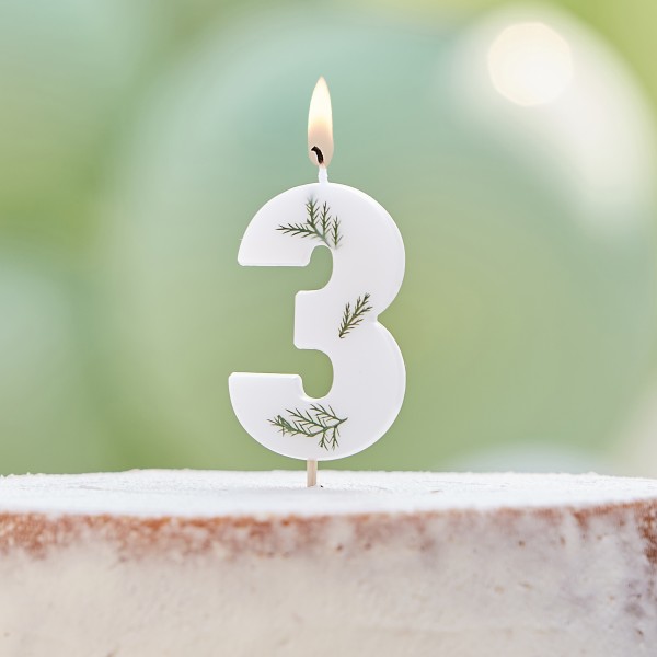 1 Candle - Number 3 - Pressed Foliage