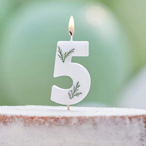 1 Candle - Number 5 - Pressed Foliage